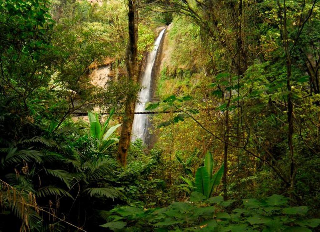 Reserva Natural Atitlan Панахачель Экстерьер фото