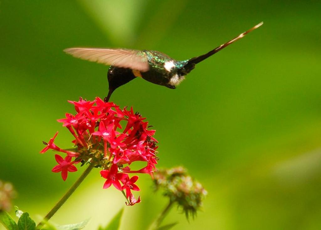 Reserva Natural Atitlan Панахачель Экстерьер фото